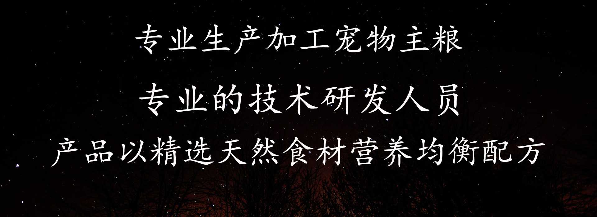 电脑幻灯片1
