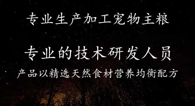 手机幻灯片1