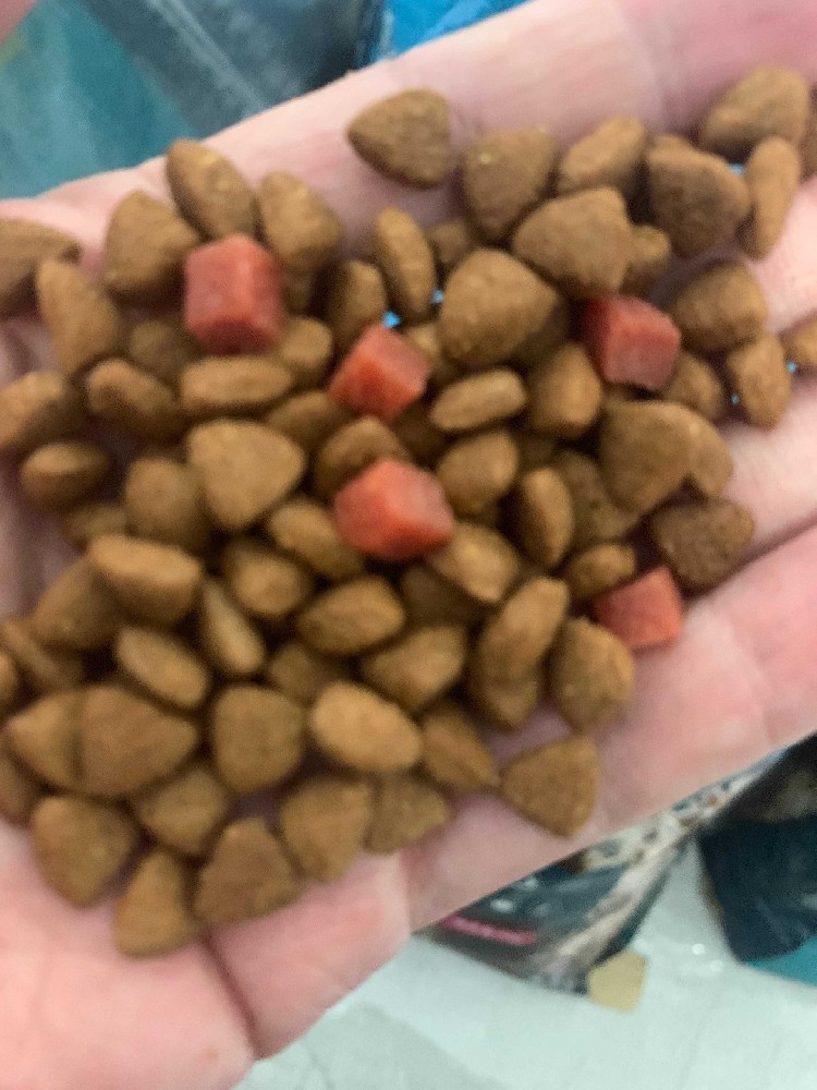 狗粮厂家批发